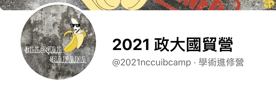 政治大學 國貿營隊